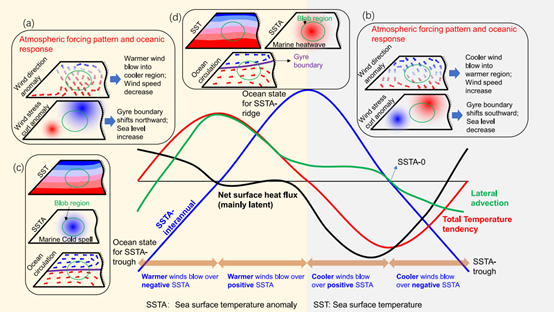 1763089595107274.png image.png